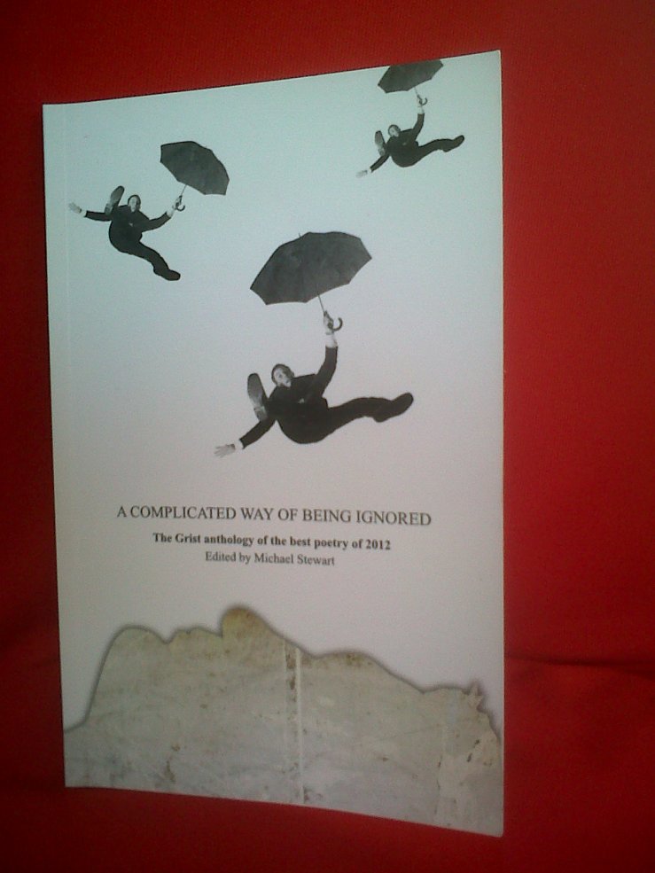 ‘A COMPLICATED WAY OF BEING IGNORED’ IS AVAILABLE AT&nbsp;AMAZON