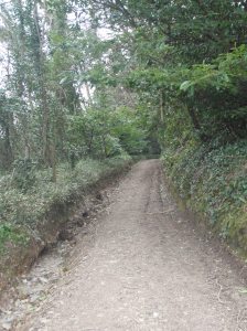 They're so far ahead in this one, I can no longer see them.