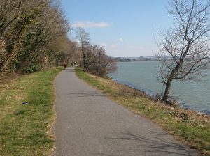 Cycling along the Tarka Trail.