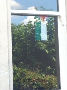 flag in window