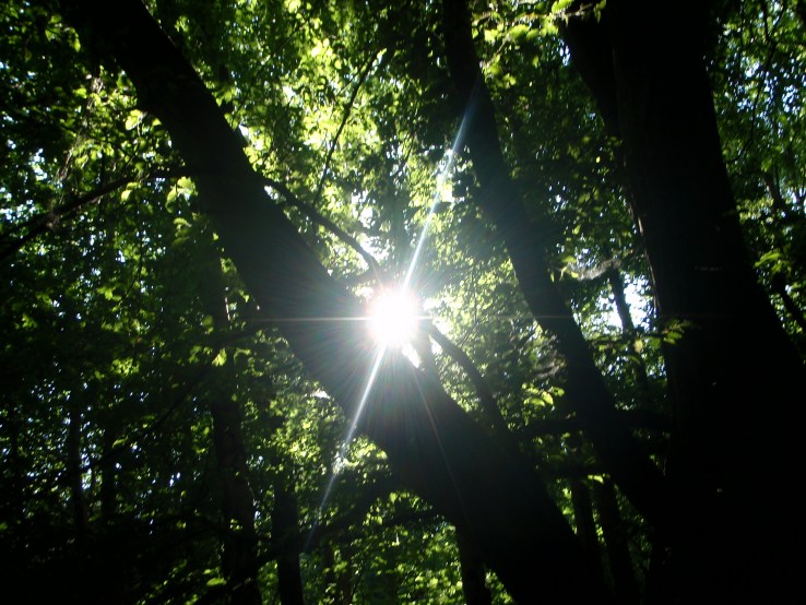 Winchester Poetry Festival Programme&nbsp;Launched