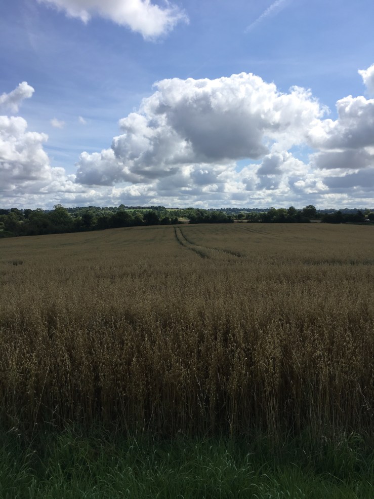 Reading and writing poems about ‘Where I’m From’.&nbsp;#writerinschool