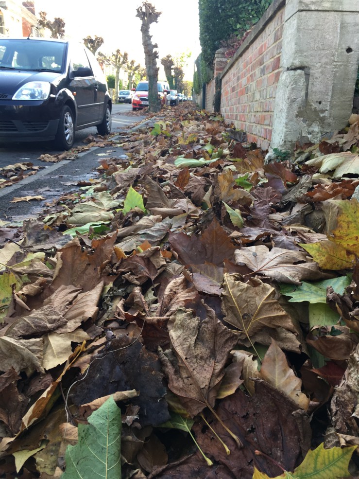 A few last minute&nbsp;submissions