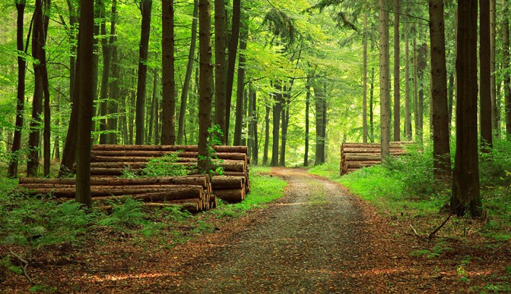 My short story ‘Algebra’ on BBC Radio 4&nbsp;Extra