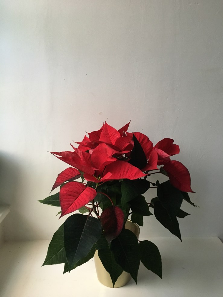 Not really a blog post