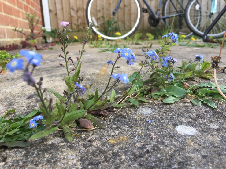 Poetry responding to climate&nbsp;change