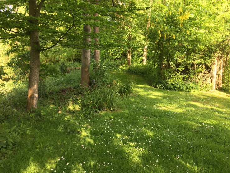 Some things you might&nbsp;like