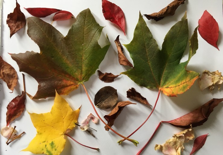 Mid-October Notes and looking ahead to November