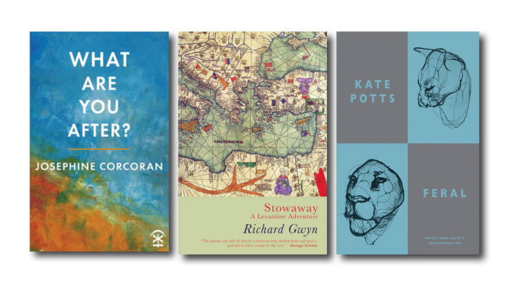 ‘What Are You After?’ reviewed at Poetry&nbsp;Wales