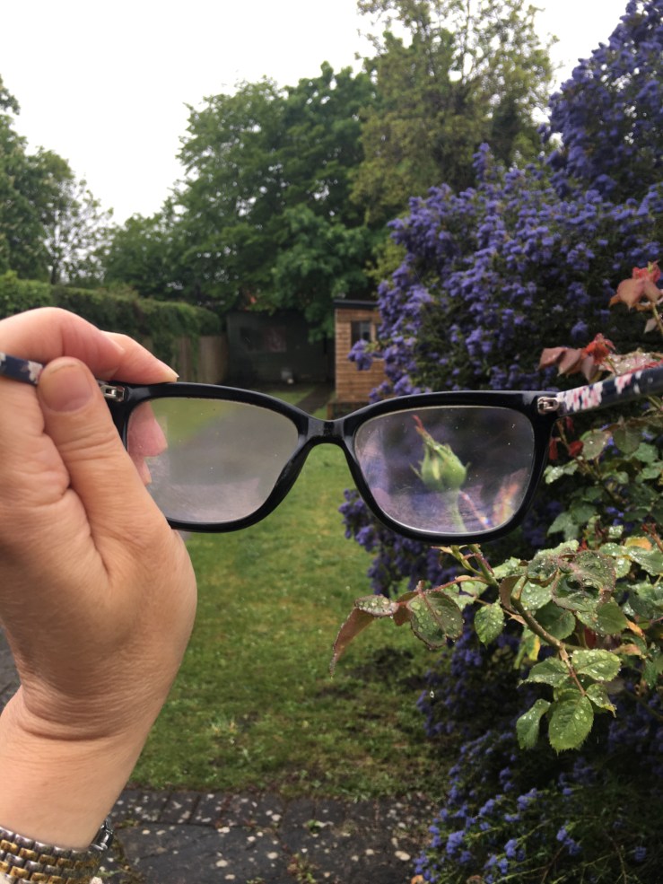 Discover Prompts: Focus