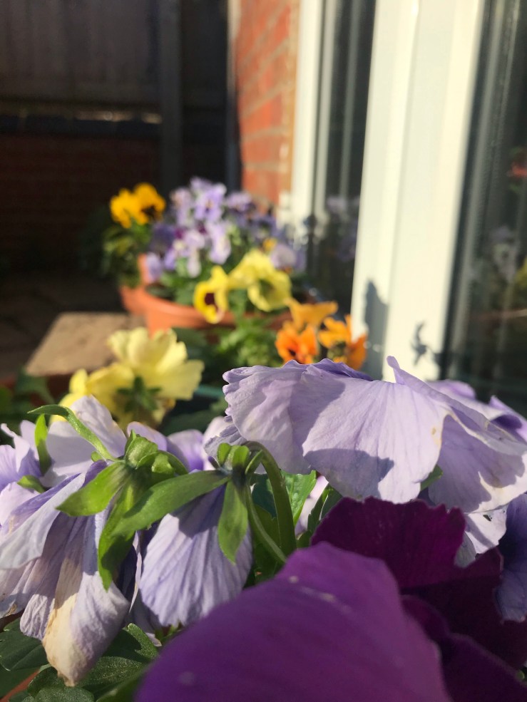 On small acts of&nbsp;optimism