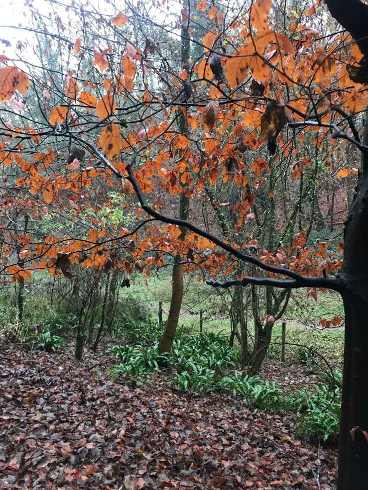 November 2020 at And Other&nbsp;Poems