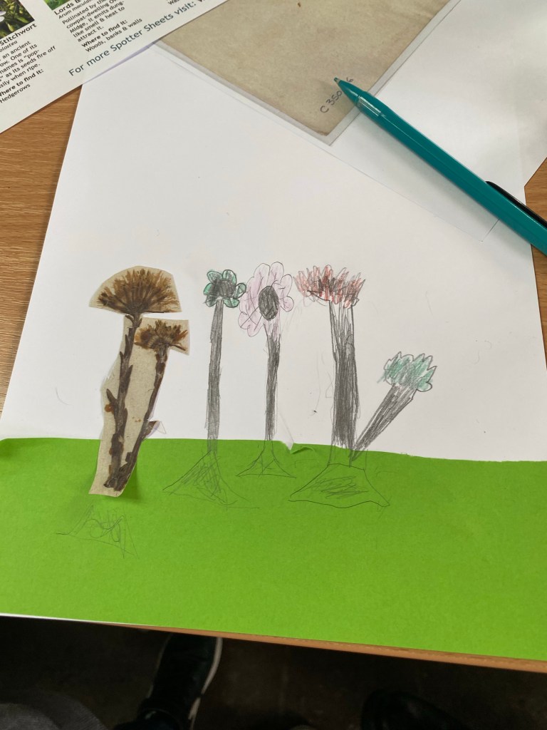 paper cutouts of flowers alongside pencil drawing