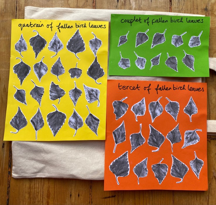 Three pieces of paper with birch leaves arranged on them in lines as if poems.  Text reads quatrain of birch leaves, couplet of birch leaves, tercet of birch leaves.