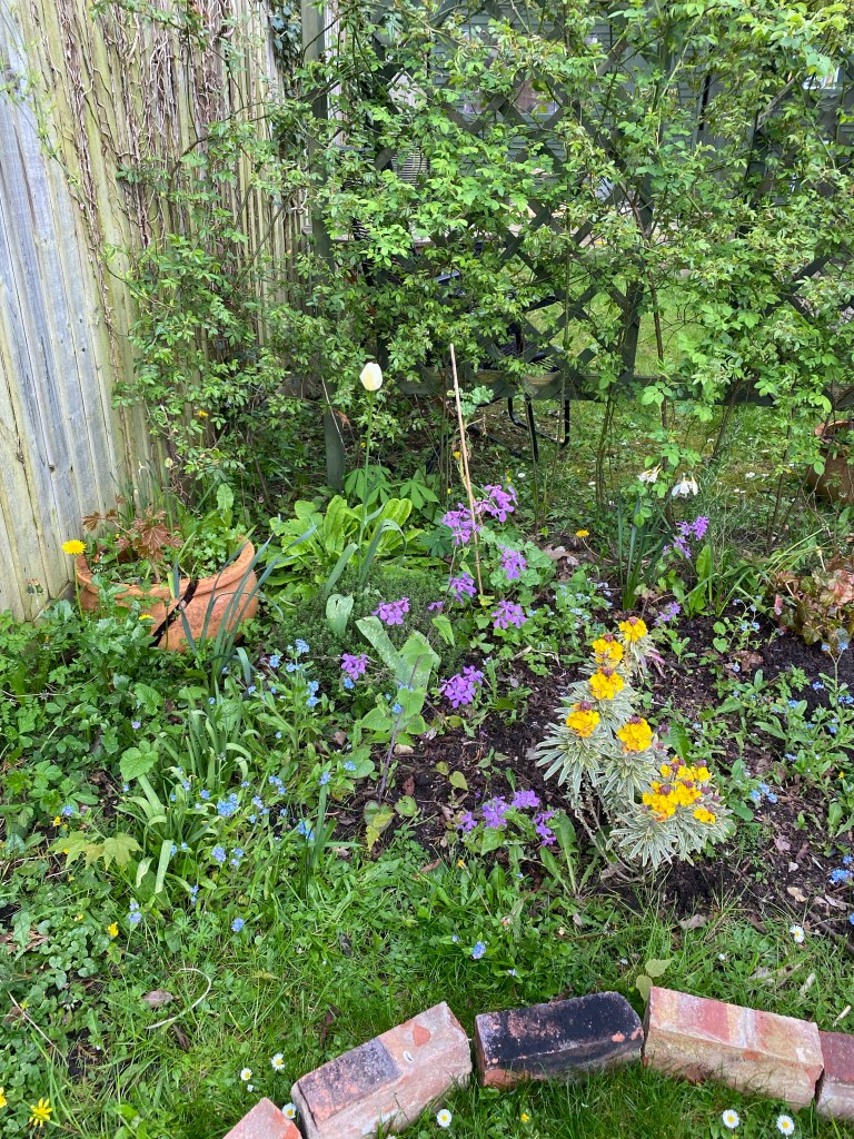corner of a flowerbed containing mostly wildflowers