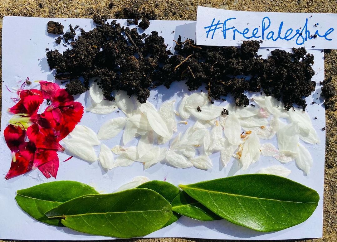 Colours of the Palestinian flag created from soil, flowers and leaves and arranged on a white page. Text reads 'Free Palestine'