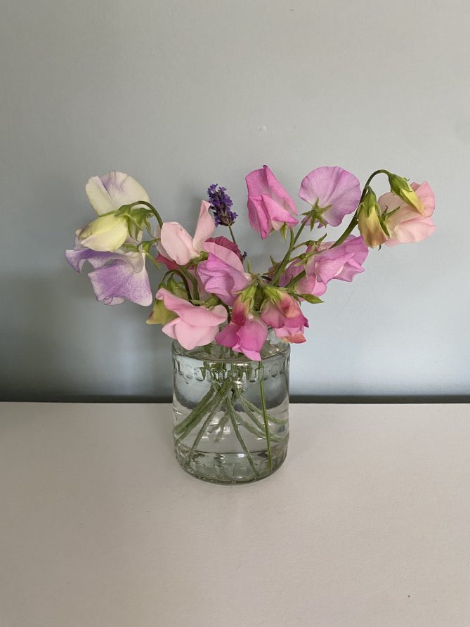 sweetpeas from my garden in a small jar of water