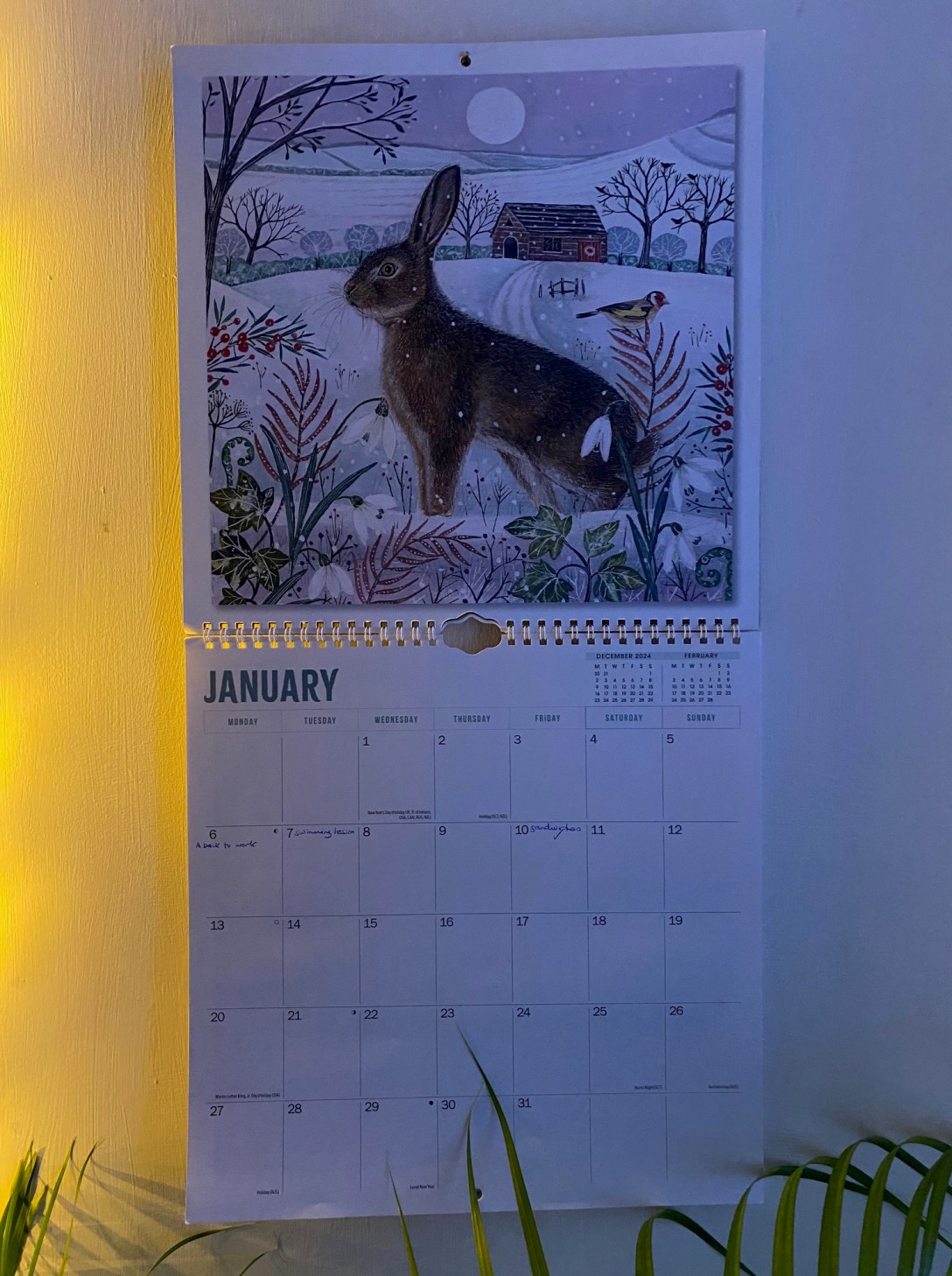 Blank January Calendar